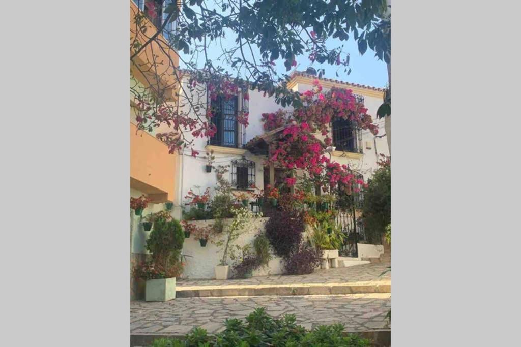 Appartement Palmeras Puerto Paraiso Estepona Extérieur photo